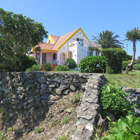 Villa Cedros Santa Cruz das Flores Exteriér fotografie